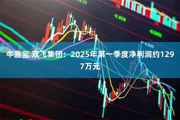 牛盈宝 双飞集团：2025年第一季度净利润约1297万元