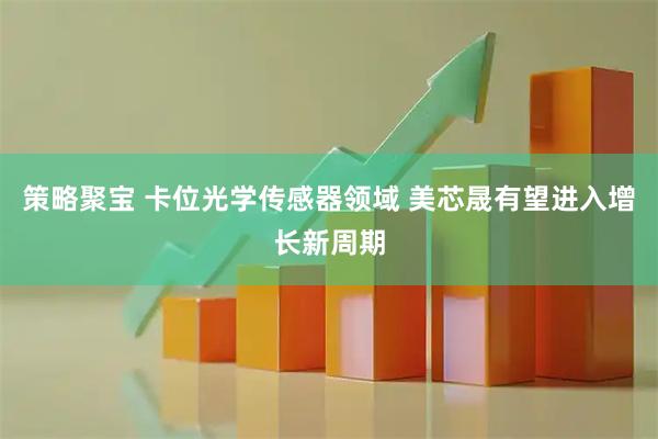 策略聚宝 卡位光学传感器领域 美芯晟有望进入增长新周期