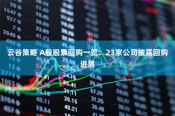 云谷策略 A股股票回购一览:23家公司披露回购进展