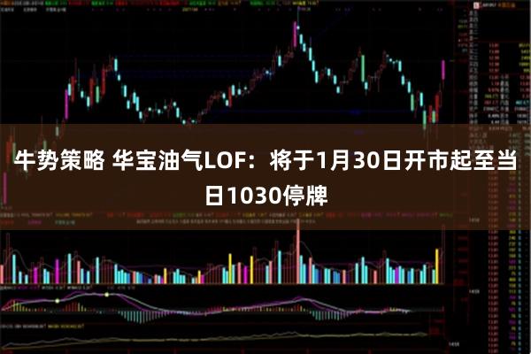 牛势策略 华宝油气LOF：将于1月30日开市起至当日1030停牌