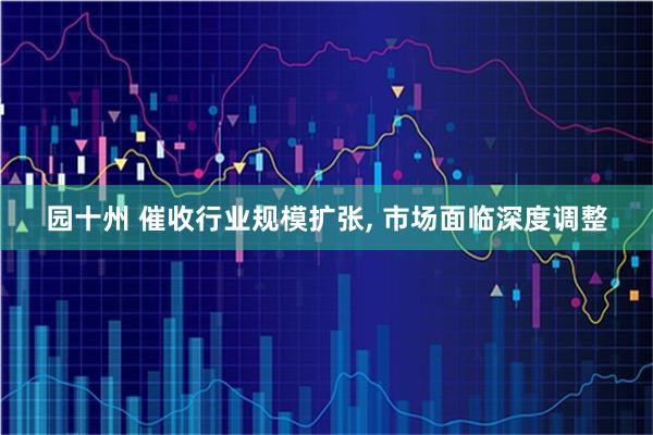 园十州 催收行业规模扩张, 市场面临深度调整