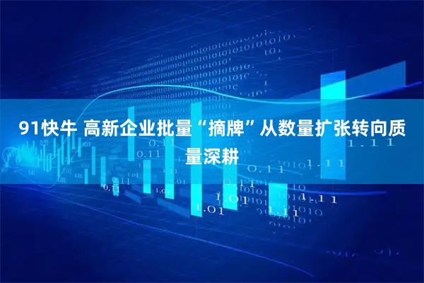 91快牛 高新企业批量“摘牌”从数量扩张转向质量深耕