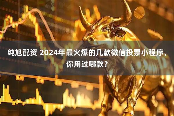 纯旭配资 2024年最火爆的几款微信投票小程序，你用过哪款？