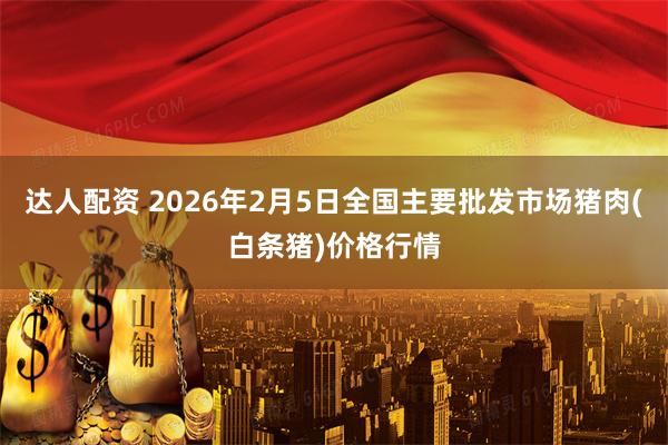 达人配资 2026年2月5日全国主要批发市场猪肉(白条猪)价格行情